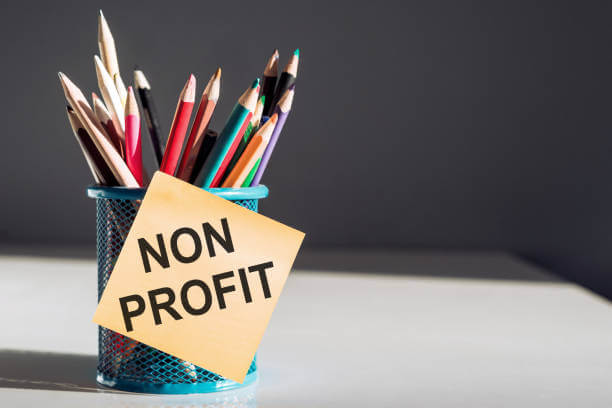 Non-Profit Organizations